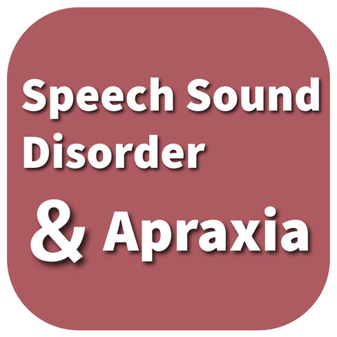 Speech Sound Disorder Speech Sound Disorder